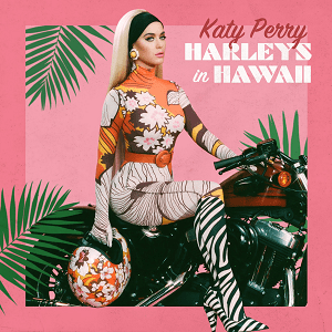 Файл:Harleys in Hawaii.png