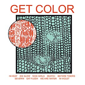 Обложка альбома HEALTH «Get Color» (2009)