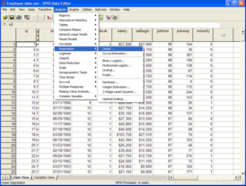 Скриншот программы SPSS