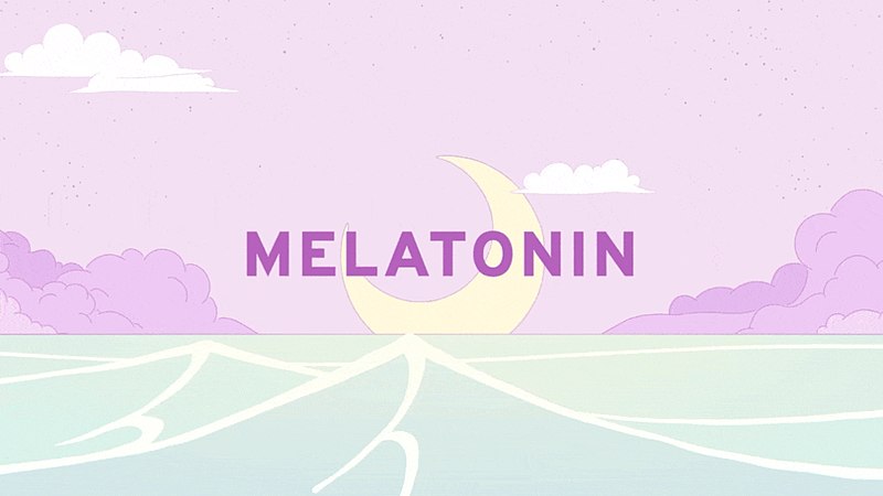 Файл:Melatonin cover.jpeg