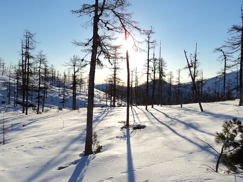 Файл:Охотский район.jpg