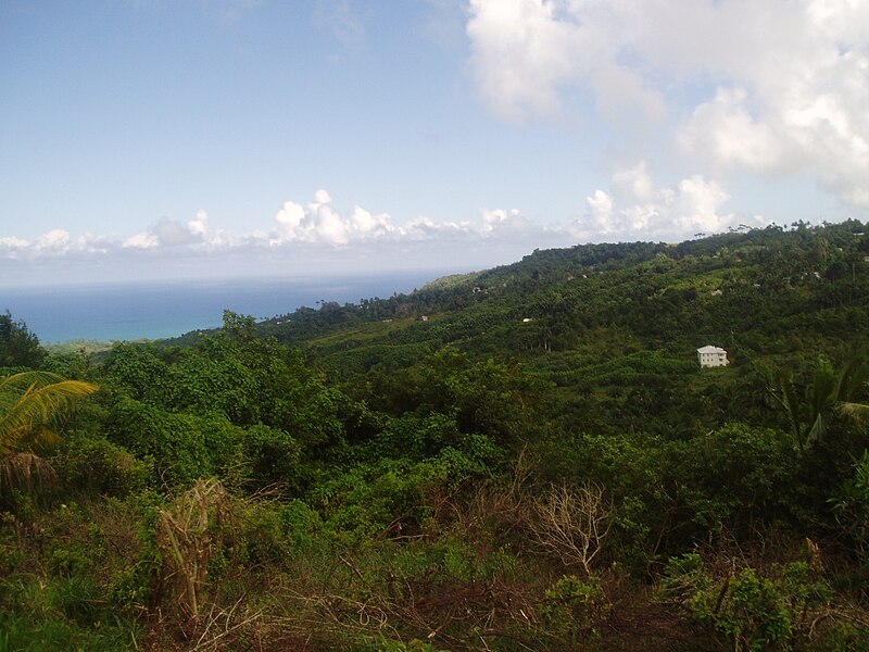 Файл:Barbados View.JPG