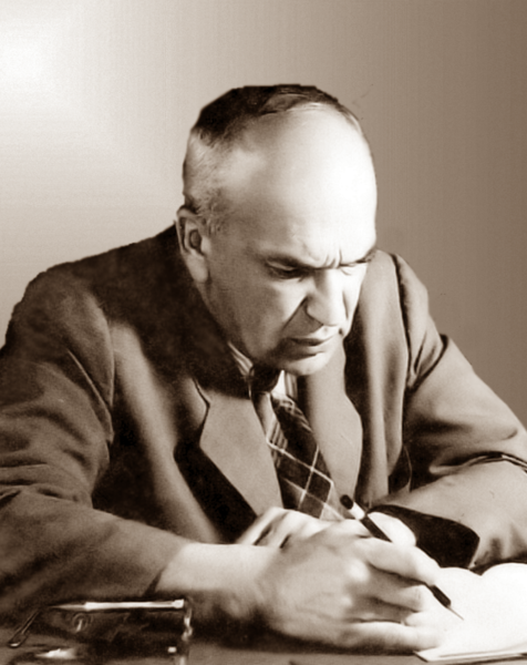 Файл:Selim Palavan.png