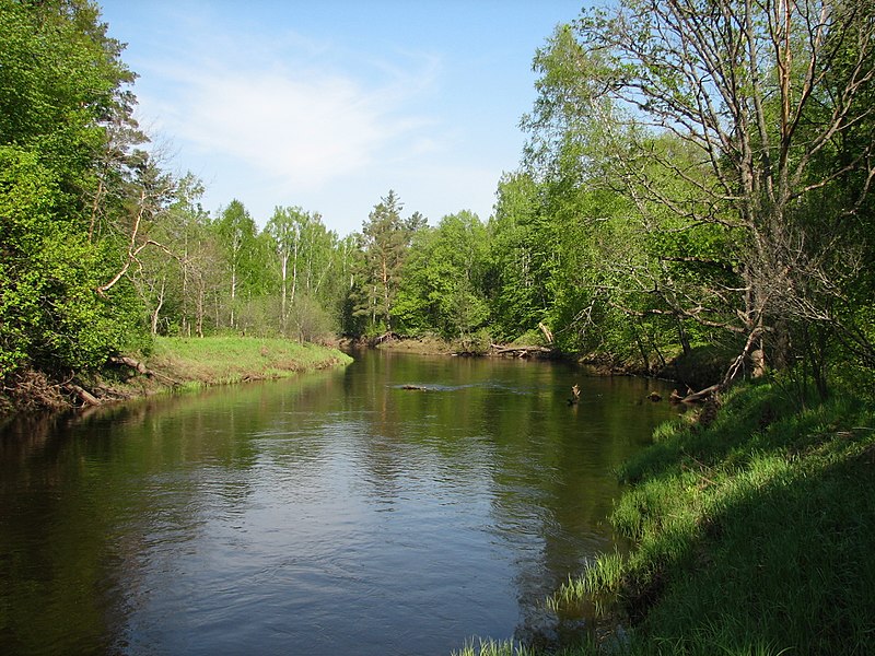 Файл:Resseta river.jpg