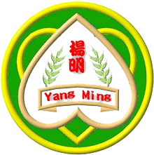 File:Yang Ming Junior High School Logo.gif