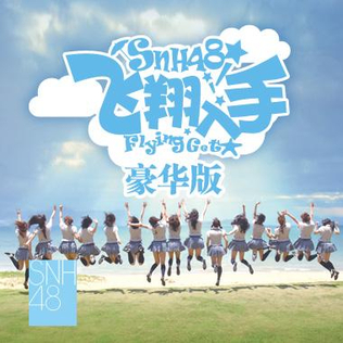 File:Snh48 flying get.jpg