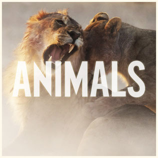 File:"Animals" - Maroon 5.jpg