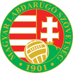 Shirt badge/Association crest