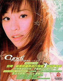 影音升級版（CD+VCD）