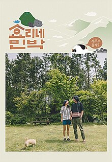 Hyori’s Home Stay.jpg